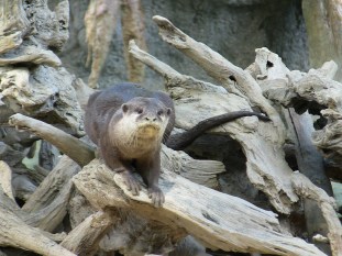 20180120122002am_IMG_0857