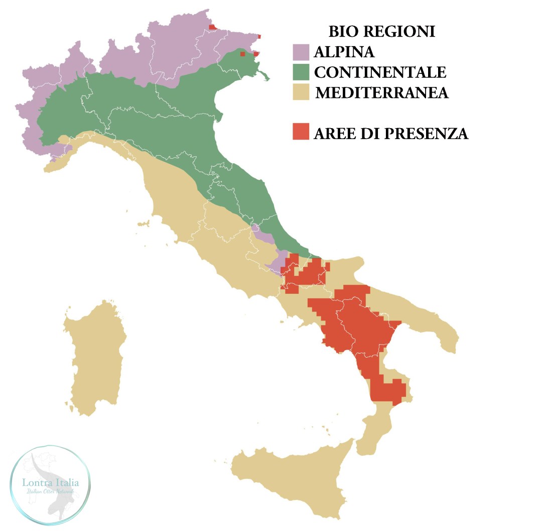 DistribuzioneItalia
