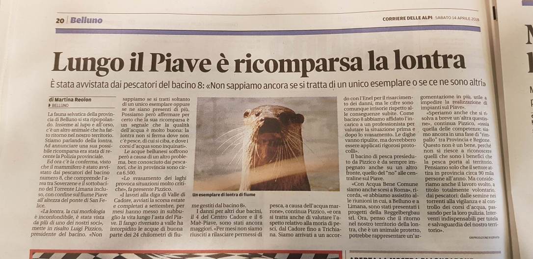 30231997_10211566328370870_892448636_o