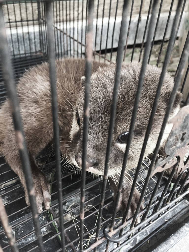 36488228_2226608954021582_7858557951332581376_o