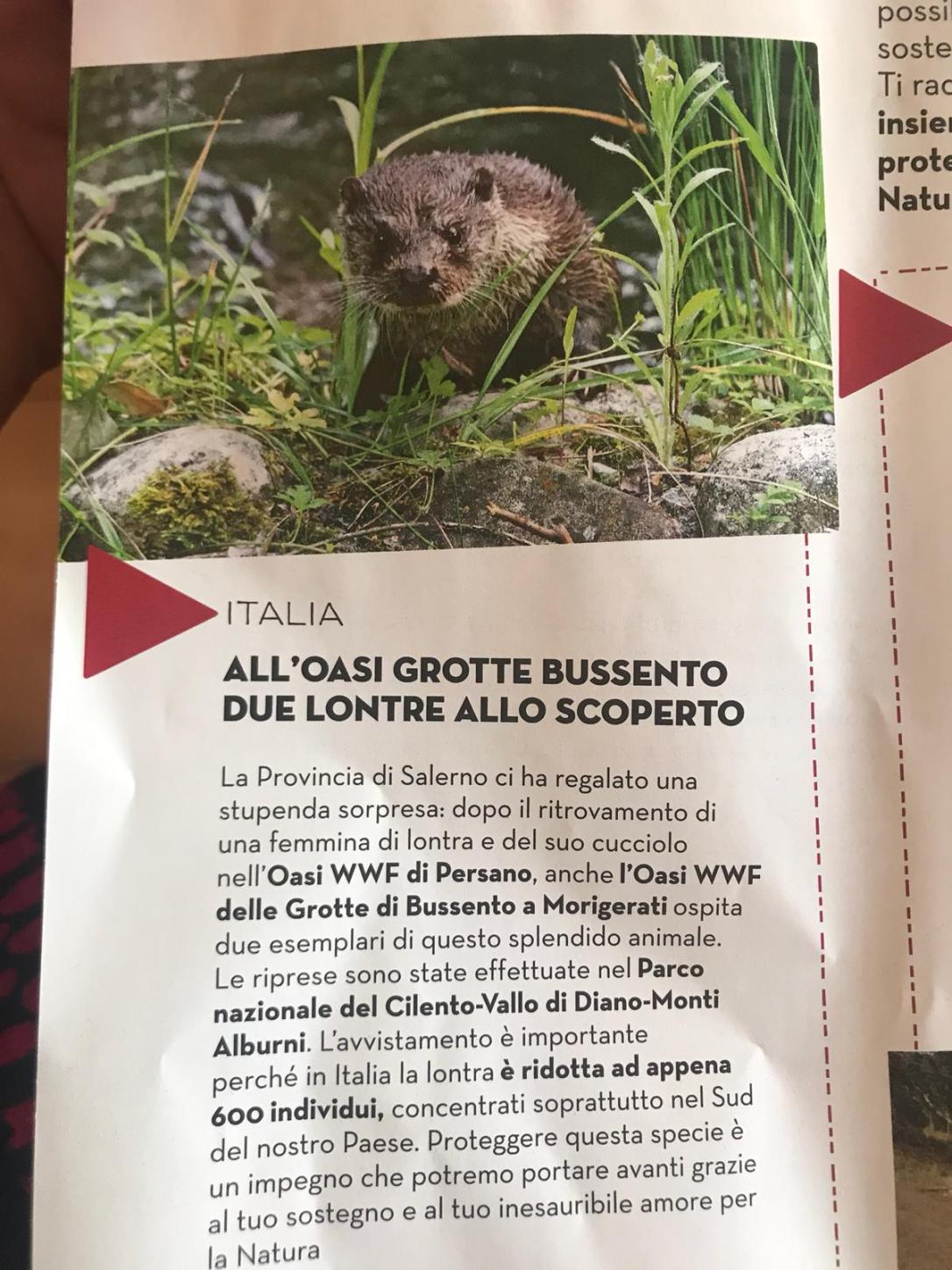 WhatsApp Image 2018-09-18 at 15.02.10